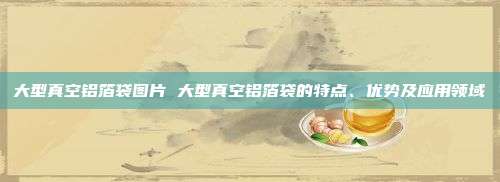 大型真空铝箔袋图片 大型真空铝箔袋的特点、优势及应用领域